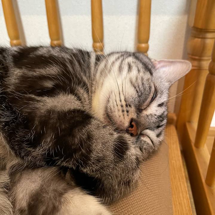 Faa60a3d 9cba 40b0 8a1d a961290fa5da 1759747647943