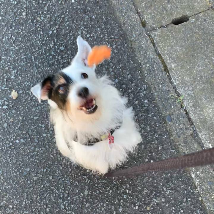 Faa623d3 5fef 4168 8ef7 92f5dab644a0 1691018995299