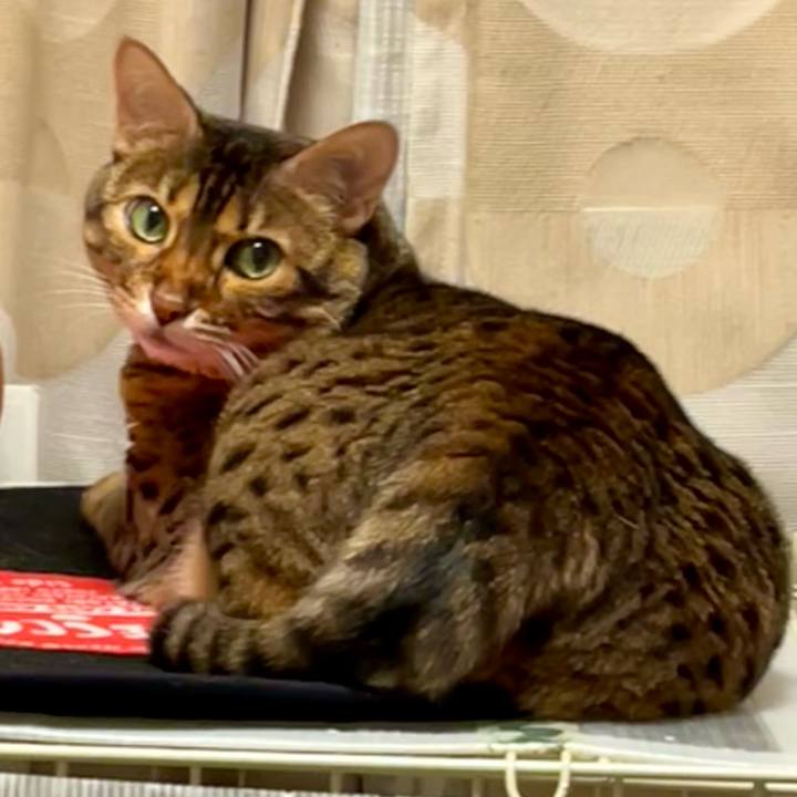 Faa631e5 60dd 419c 88e8 47de80a13651 1655689283907