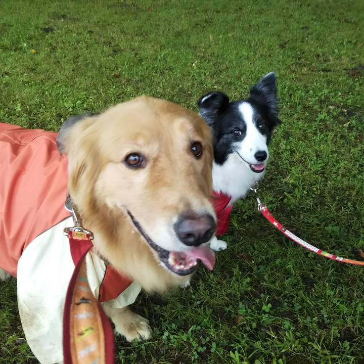 Faa632ce fa7e 4886 9726 839154d16a21 1538365834657