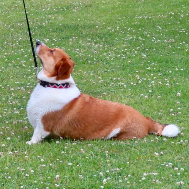 Faa666c9 f2b0 47eb 9a4d 0e03bdc5f678 1685321622358