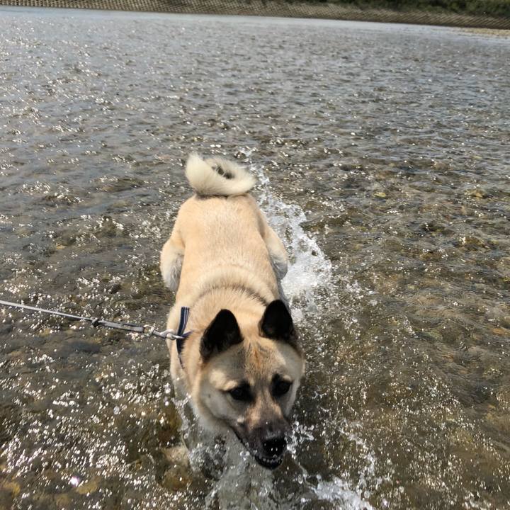 Faa68286 b388 4d29 8af9 31d0388bed50 1565515363279