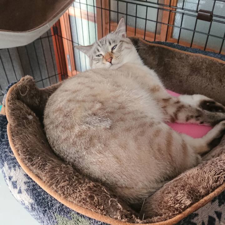 Faa6830d bc6b 4029 a31d 97f62c8469f8 1544347733089