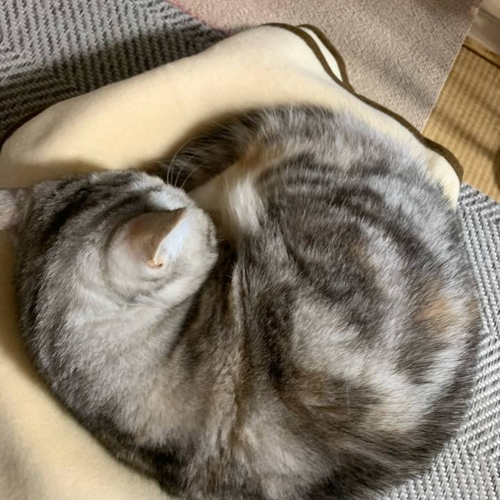 Faa69c1a 889d 43f6 be4c 164bf62a1fef 1707201519259