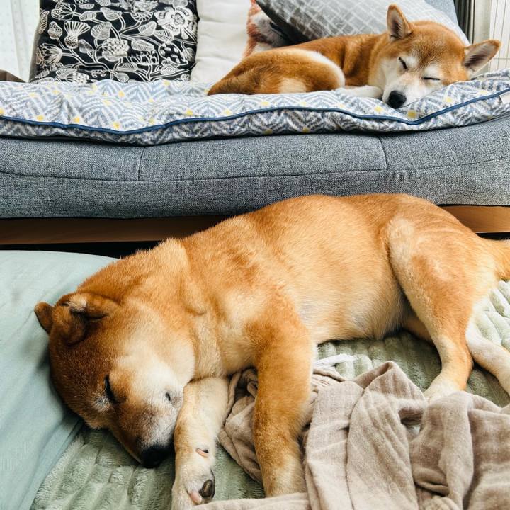 Faa6a141 ec86 4c64 9b78 af7ccff0be45 1758604254354