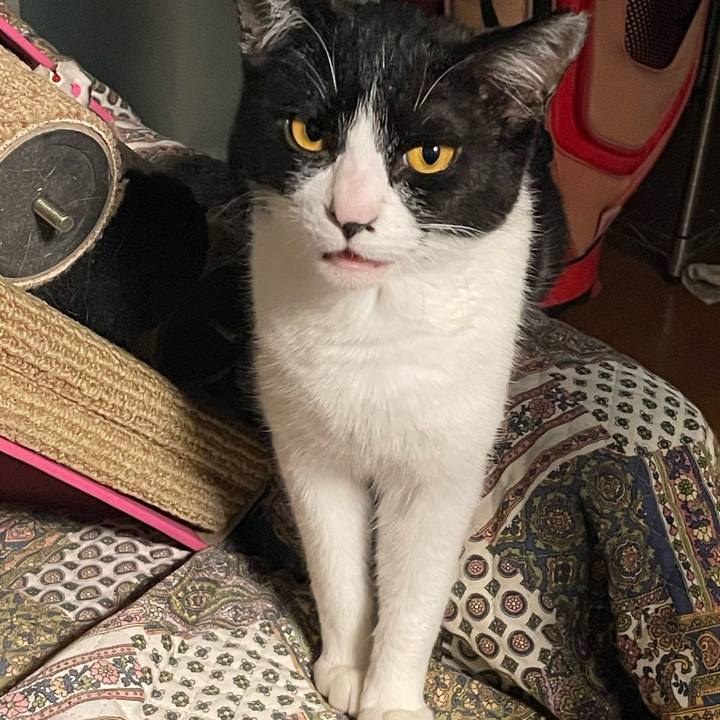 Faa6d067 d7fc 437a 9553 689a9b434d12 1681297631714