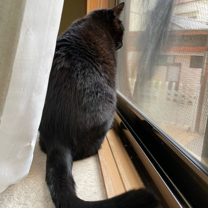 Faa70395 367a 4e1c 97d5 b73076a6d5ae 1645410645359