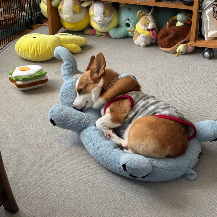 Faa72a6b c83c 4999 a1e5 ab4a0a579aad 1765004768924