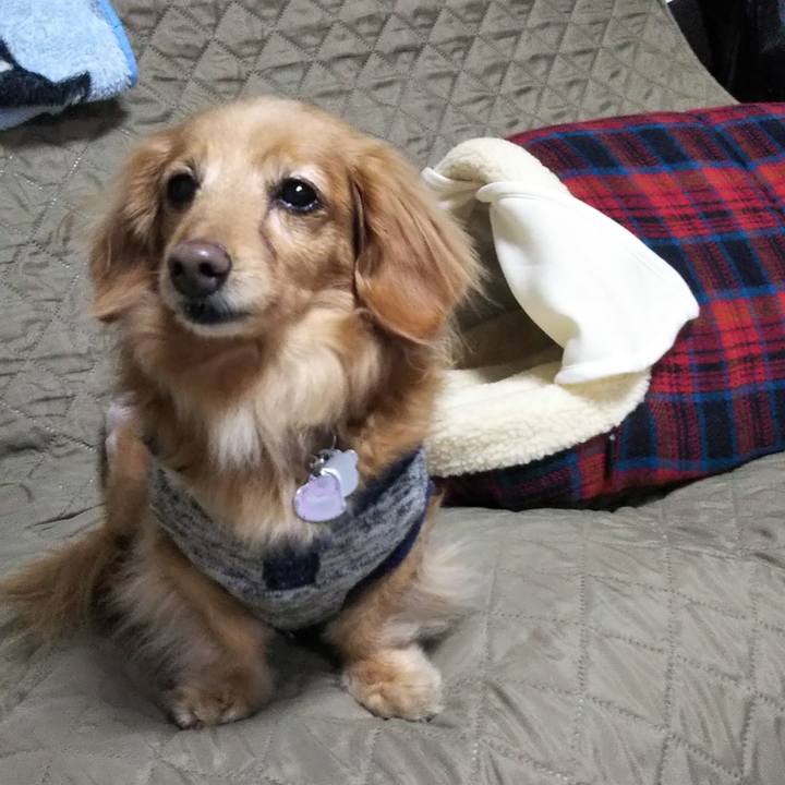 Faa735ea 29df 4dfd b861 ea42631778ad 1639816035648