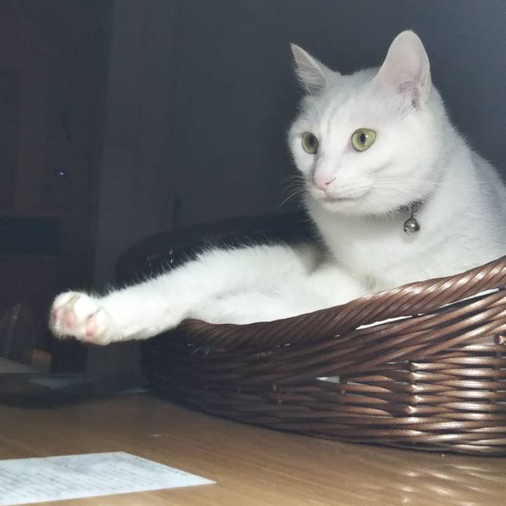 Faa758db 9eb3 4c32 98de 0a12248fcdb6 1684887507282