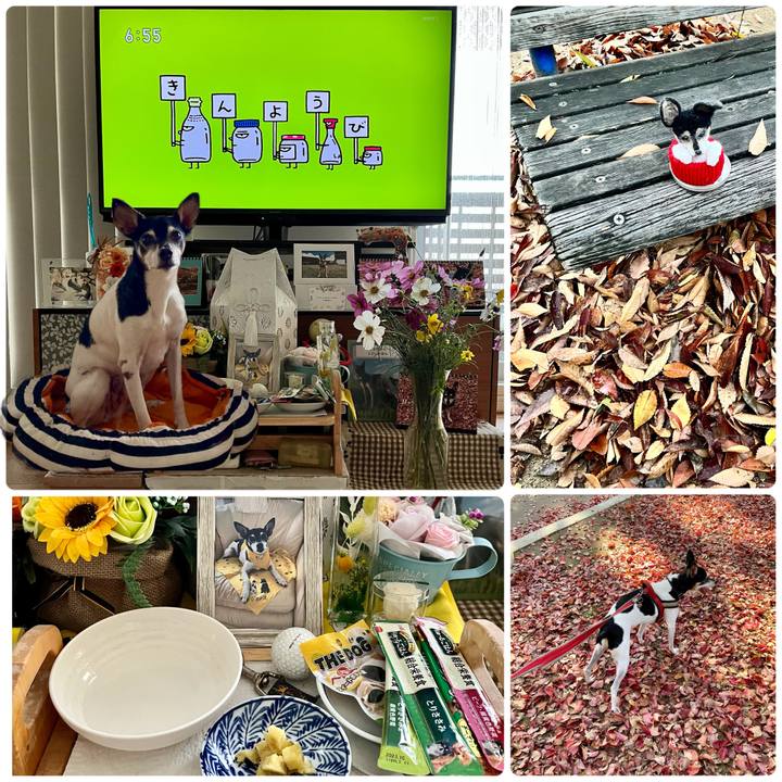 Faa7a435 fa76 4323 a3cd e2ae8a939571 1669330648841