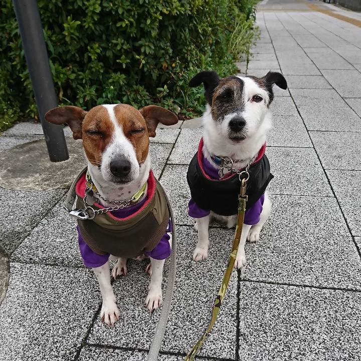 Faa7d968 1c38 41b4 9e9e c018464a601a 1585522748296