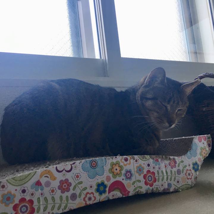 Faa7f400 c333 4f0d befc 60e1fa301628 1549752056853