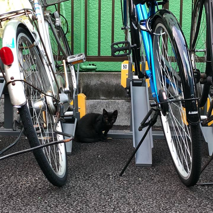 Faa8281e 5e80 4775 9b30 730ca1649711 1533845891025