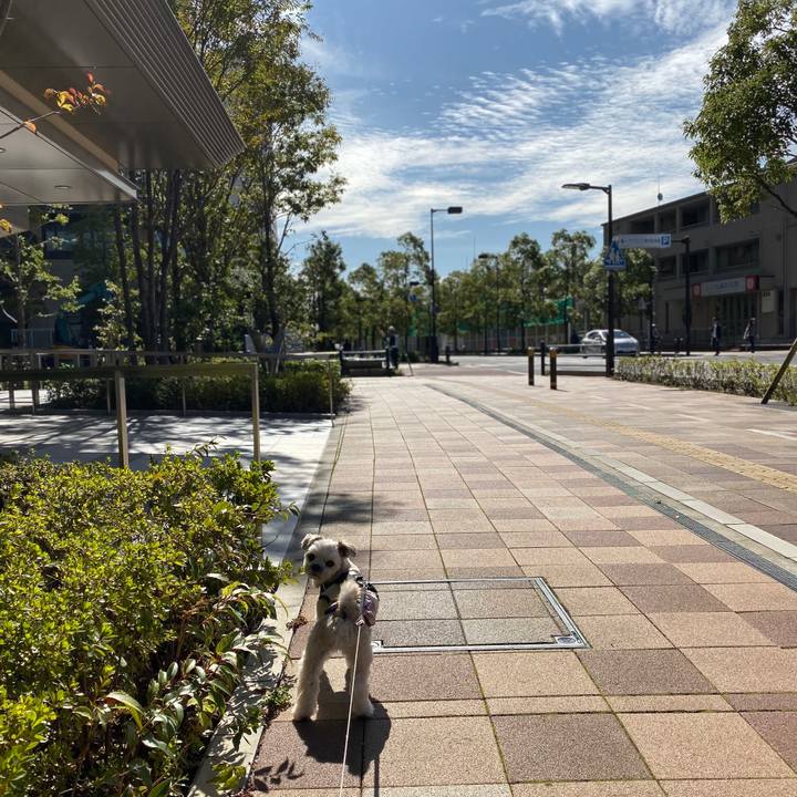 Faa842b9 0711 4887 b30a 5897d08187c0 1572091633293