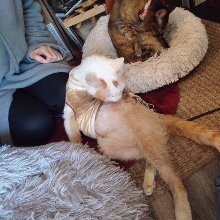 Faa87ea2 17cb 4bce b43f 4fed67206bf3 1768521350577