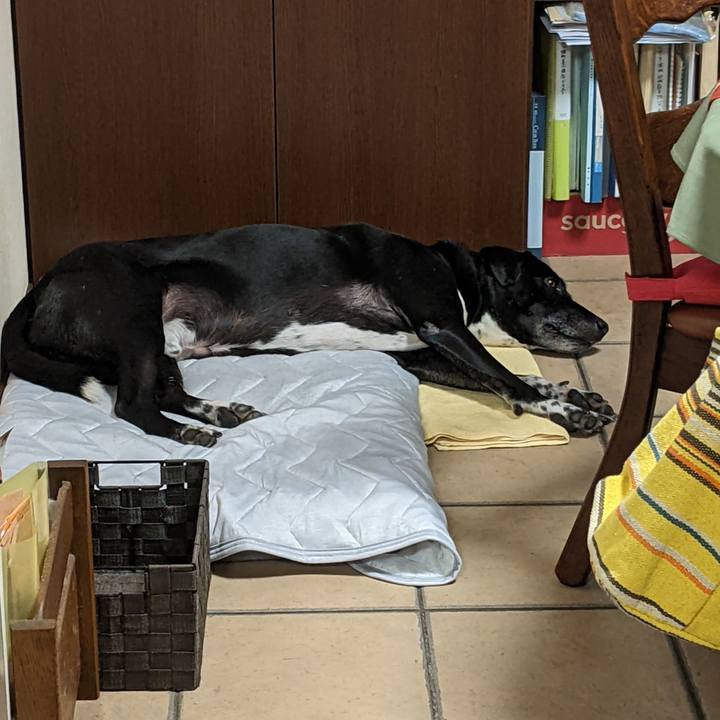 Faa8a435 ec0b 4a15 9d0a 6ccd13868b50 1658834646301