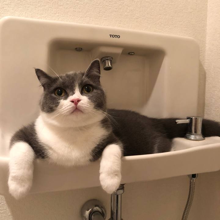 Faa8a8dd c9bf 4d8f ac60 57eacd2ff955 1535552686628