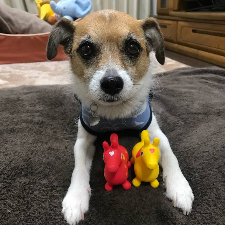 Faa8eb4a bb46 4fab 8101 8fa43fda70f3 1530330000344