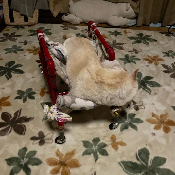 Faa93799 6e21 4245 a12e 44413e1c10f1 1674573377458