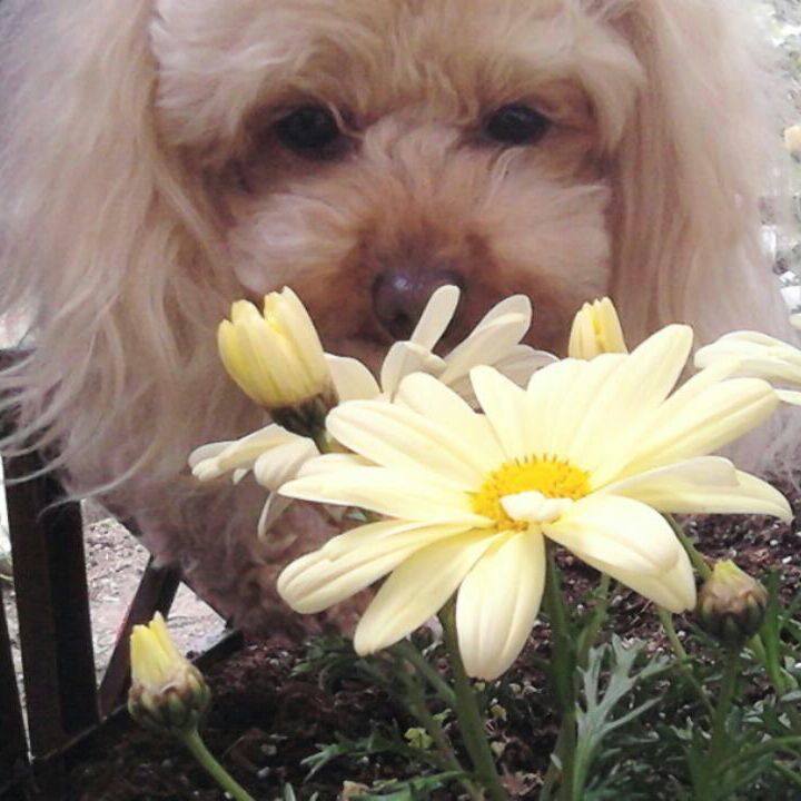 Faa954c6 0874 4e58 864f 2fe8ee532292 1523424183751