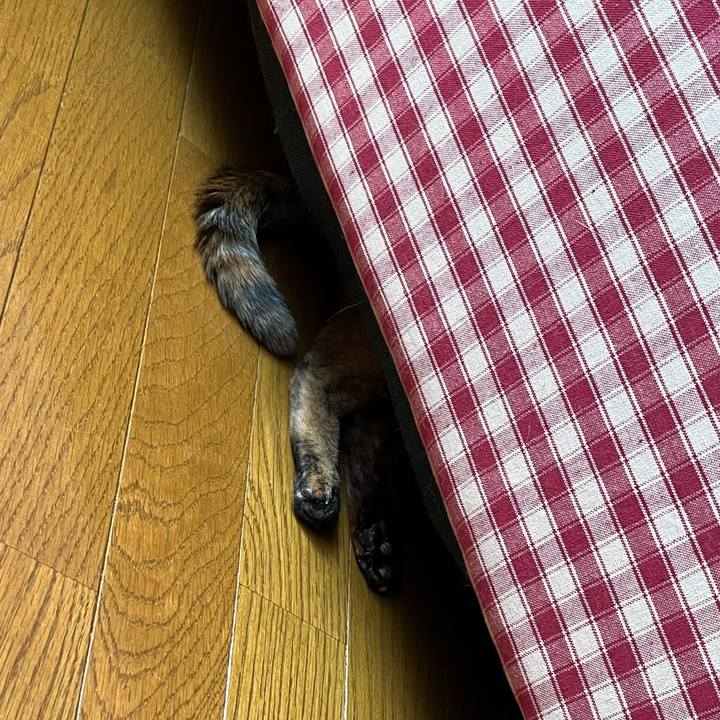 Faa99d49 518a 4988 99c5 533c25450da1 1692780503191