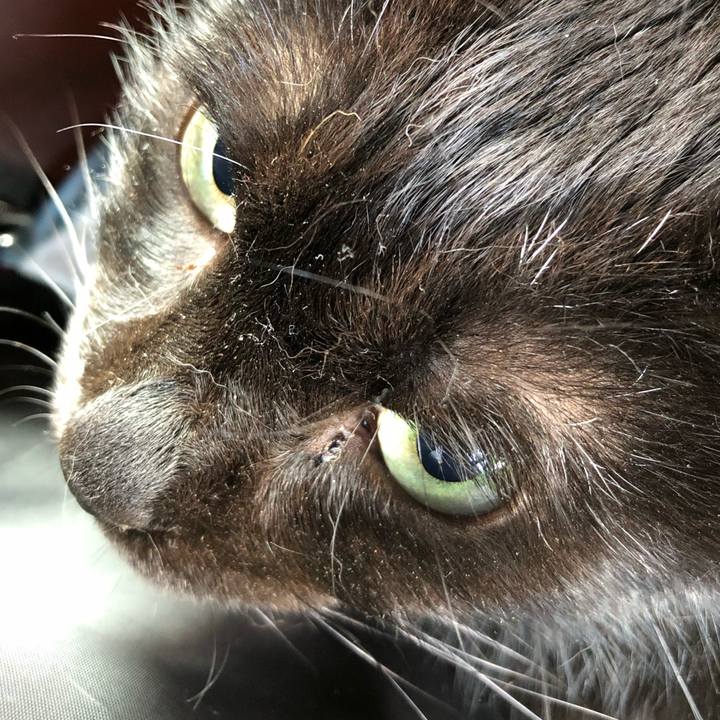 Faa9b142 31b7 4b9e 9fd9 be87173127a5 1564313894863