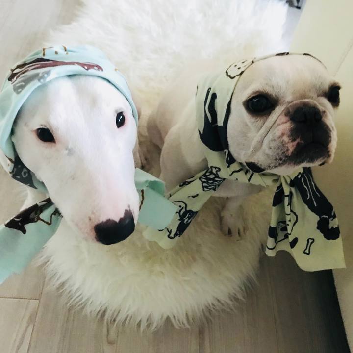 Faa9c0f3 8bd1 405d a999 726515799cbc 1530938265611