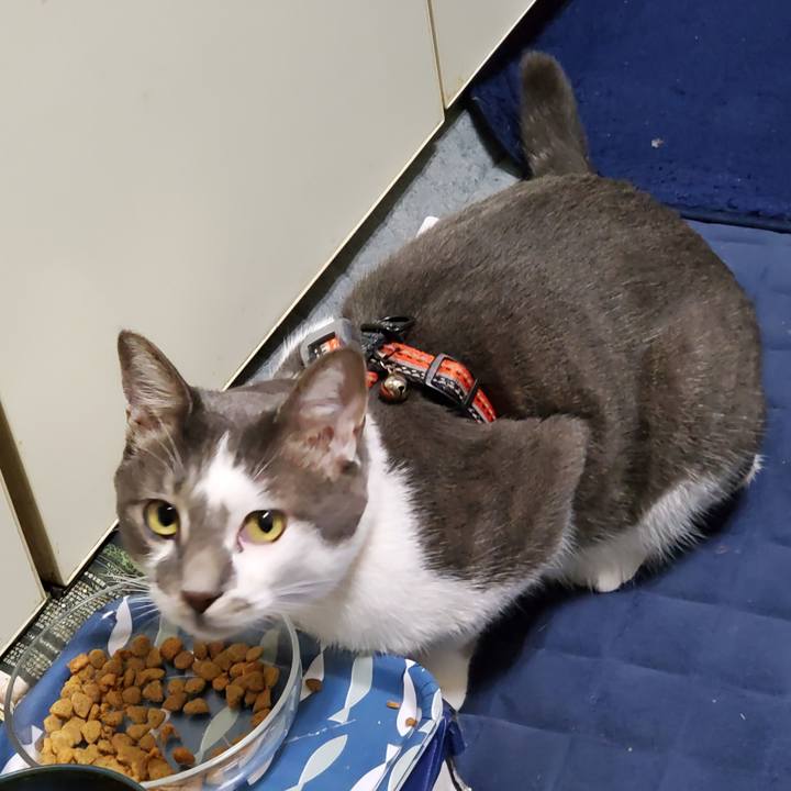 Faa9c226 2b75 4d8c b5b8 d3e70df41b9b 1727596788377