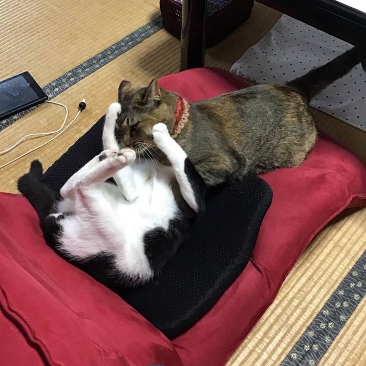 Faa9c9f7 44ed 4150 a6e4 4ccd77695817 1631949466868