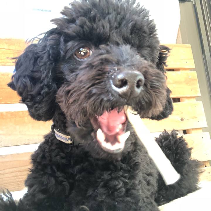 Faa9eab4 c351 4f51 ac7e cd258efb80bb 1548550378577