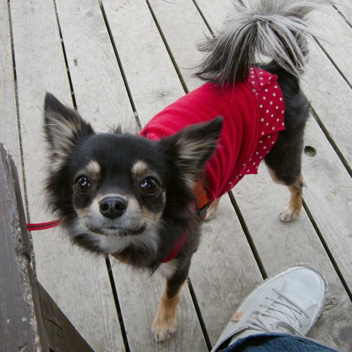 Faaa0cf6 660f 4519 b33a 359f797f59b1 1634887421694