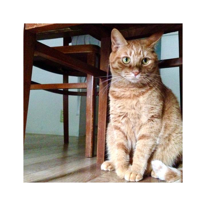 Faaa15fd 1cdc 4d7f 842b f609ece1c447 1653557949419