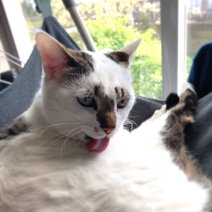 Faaa2b98 a930 4762 bce3 cca5bf3491e1 1523364953601