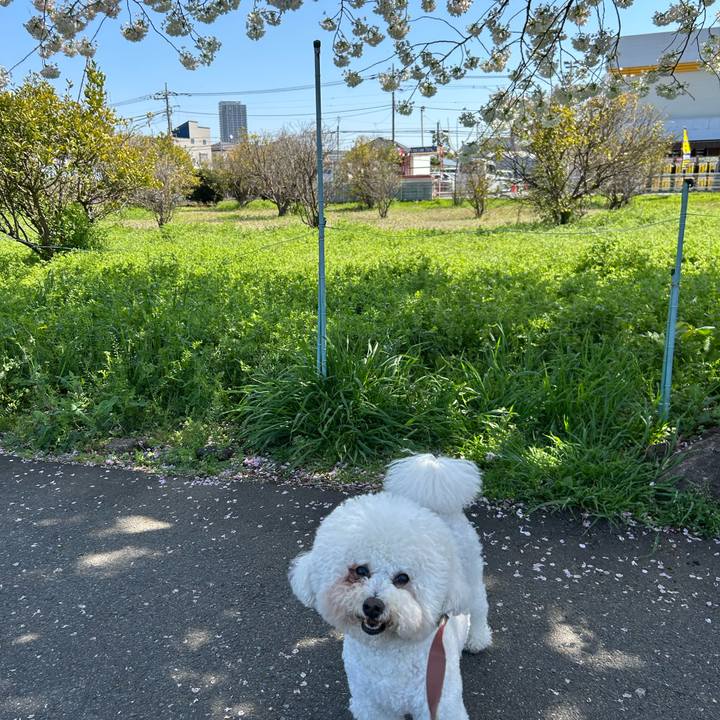 Faaa47ff 8112 481b 889e f7109f657e00 1775184067244