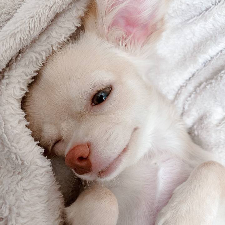 Faaa4ce7 0d85 439e 96dc 7a0229d961b1 1594351879512