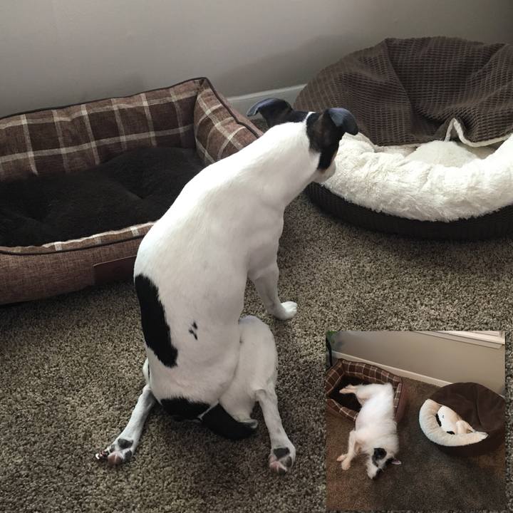 Faaa4f93 deb7 4dbe b5f7 05edc4f16b90 1517872438710