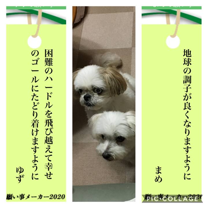 Faaa8782 03a6 4230 81af 926b094674a1 1594123206254