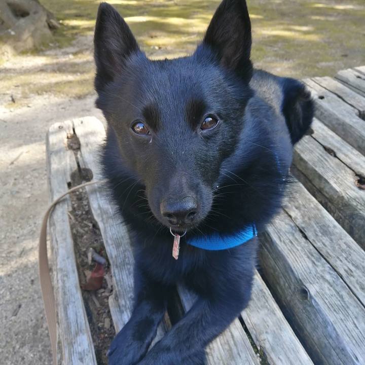 Faaaabfa 6b5f 4838 a2b2 7bf0db4a753b 1613178166073