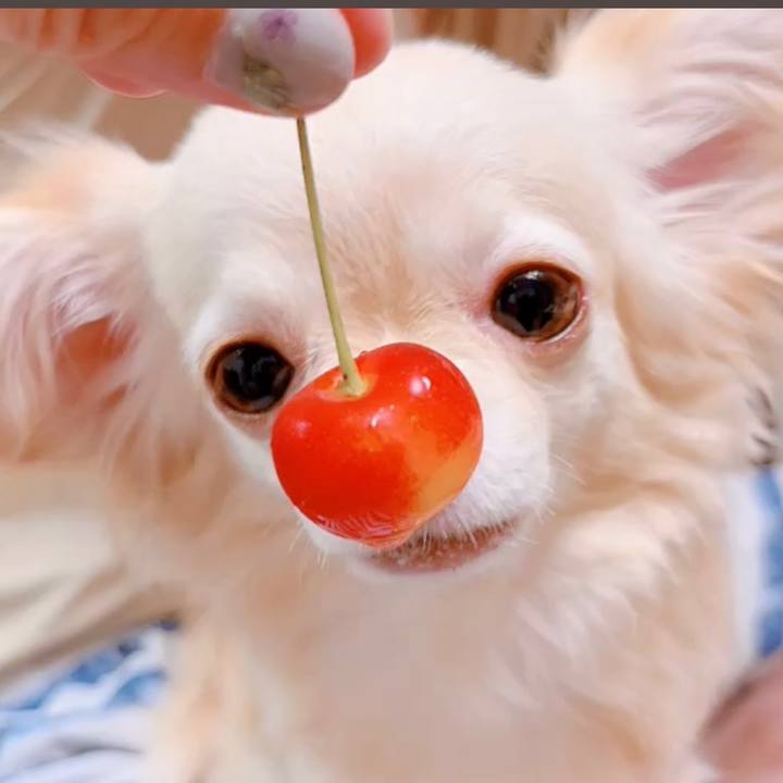 Faaac363 b75e 4260 ae49 6ca58da7cde4 1656145414327