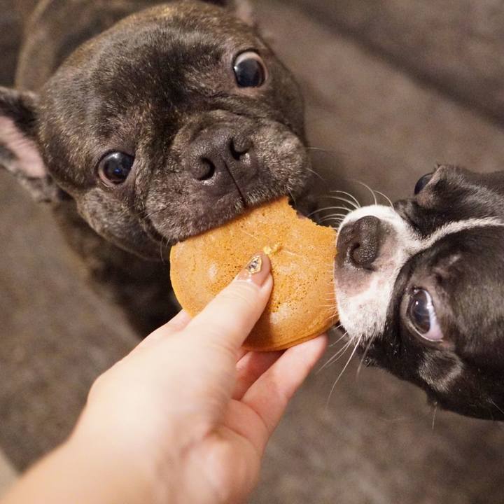 Faab149b b499 4ab9 94d9 45805b248aae 1570623571094