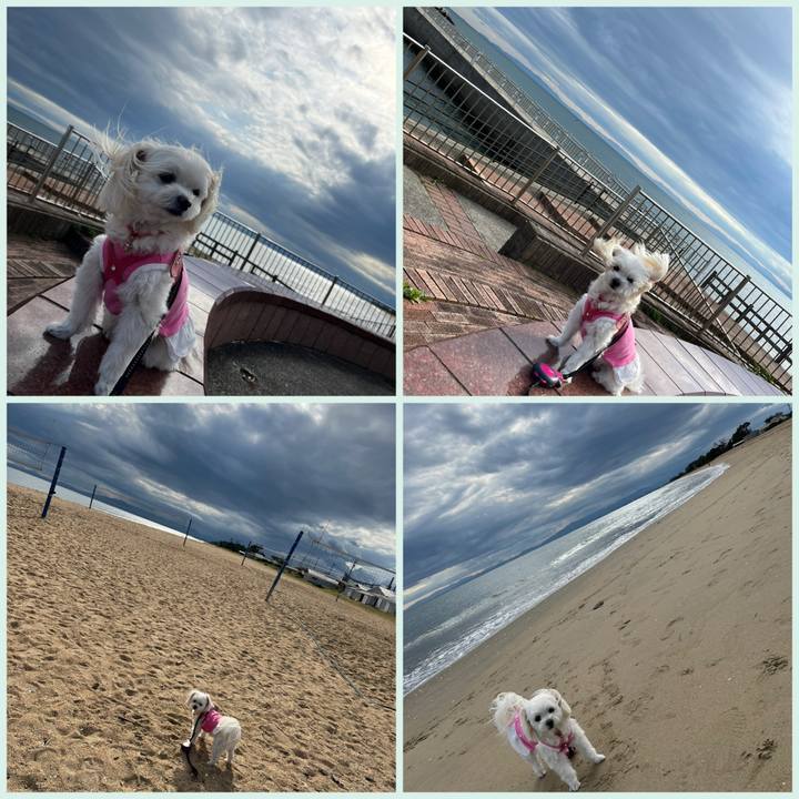 Faab5d3c 0a51 41e7 8ab5 0e805225f227 1699764245753