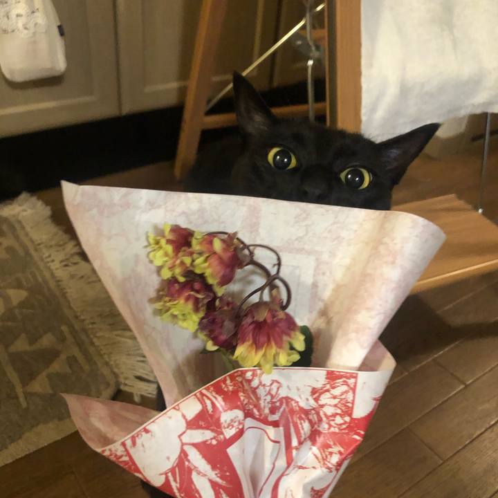 Faab61d3 aa30 4768 a9d7 f94144be90b0 1618924829155