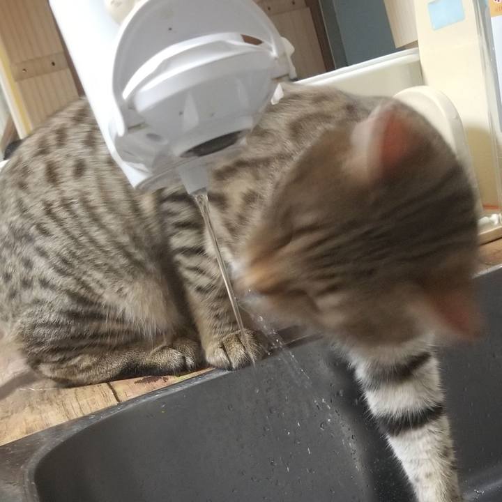 Faab8b63 9eea 461e 8159 f9e1acdfbc5d 1569594031351