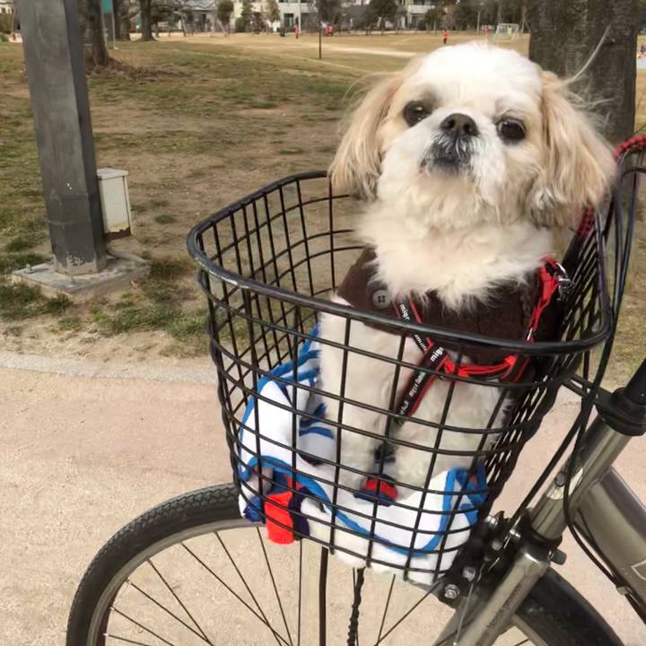 Faabc51d 6d97 435c 9578 e36c48876202 1549492225023