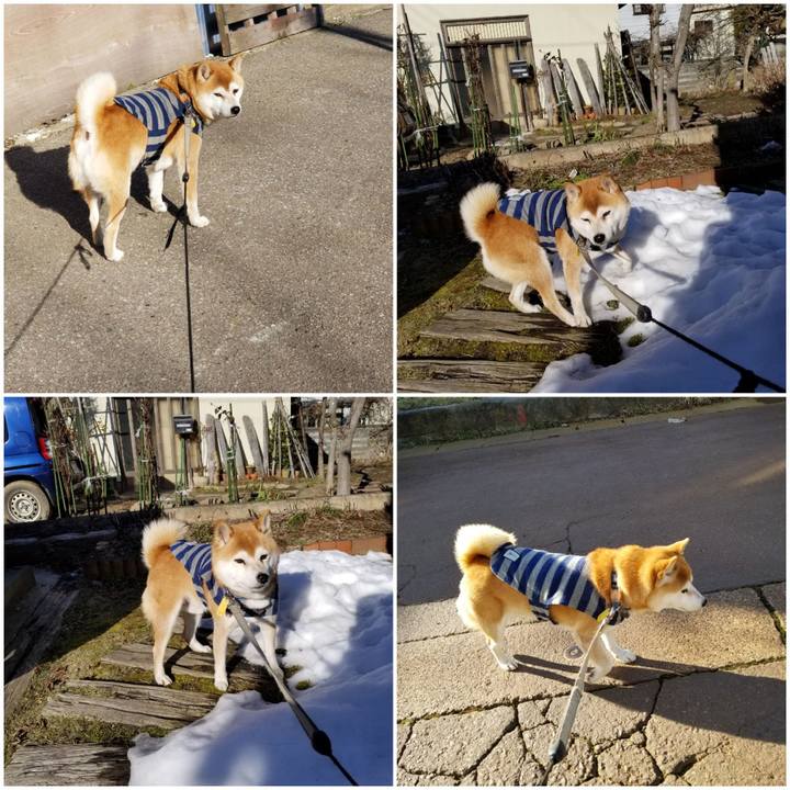 Faabc997 e315 41cf b4d9 bd05ca4388ca 1580017734510