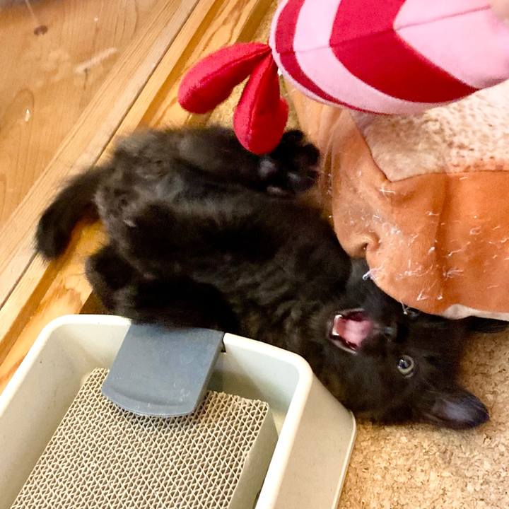 Faac0bfb a535 47f0 bed8 f28b3536ee9e 1698270049378