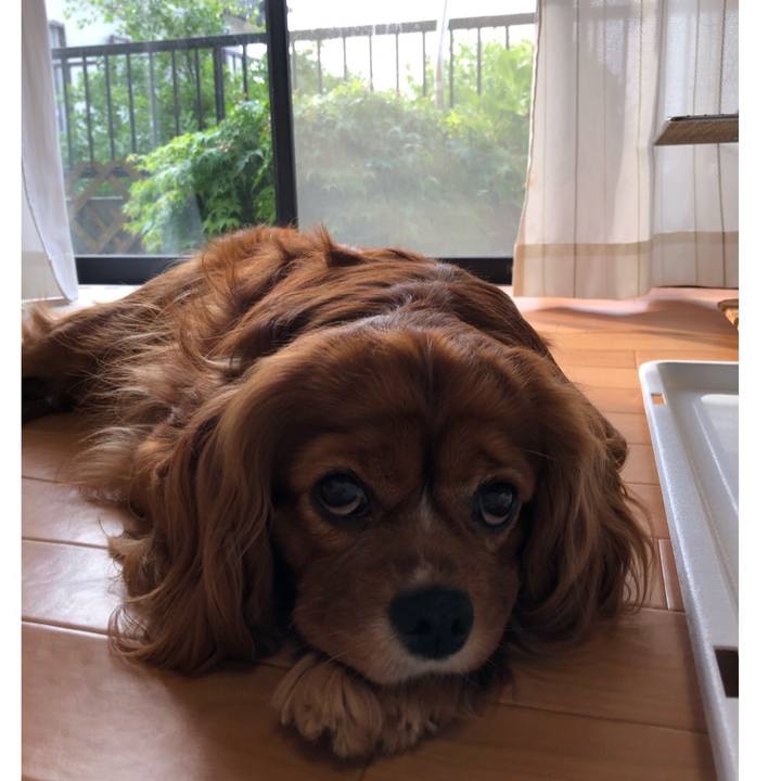 Faac1eee b21e 48c2 92ba 2b5282c87c18 1619734911371