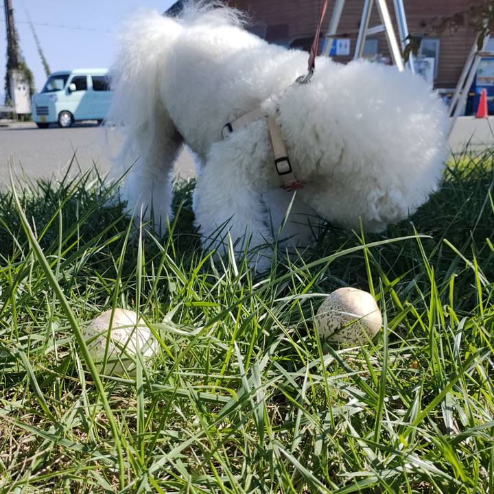 Faac33cf 848c 4a64 95d2 fab68e06b9a8 1761795796465