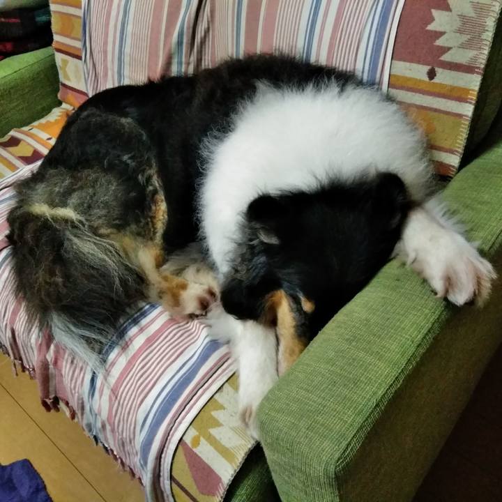 Faac6a03 0971 4379 8551 6d7a5b97e5d0 1563203329170